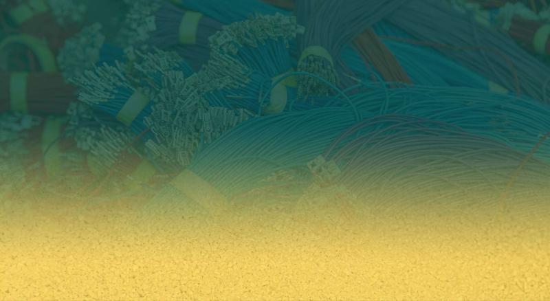 25 de ani de experiență ne reprezintă prin calitate și profesionalism